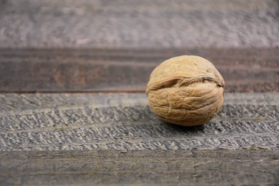 Jak unikać problemów przy otwieraniu orzechów włoskich