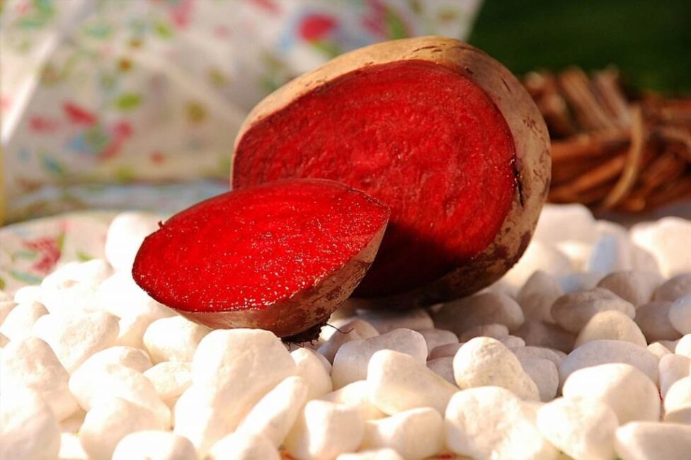 Kiszone buraki w sałatkach