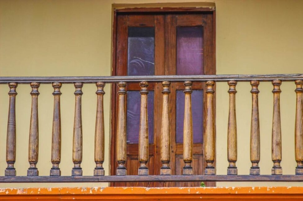 Rośliny na tarasie całoroczne